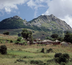 malawi et zambie, édens africains