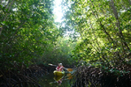 voyage au cœur de la mangrove du siné saloum