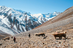 dolpo, voyage hors du temps