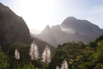 les oasis atlantiques