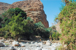 montagnes et oasis d'oman