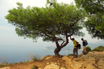 calanques et côte bleue
