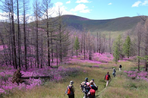 trekking dans l'arkhangaï