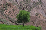 grand tour des atlas marocains