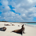 objectif galápagos