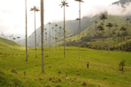 balade colombienne