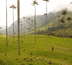 balade colombienne