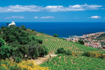 marche et thalassothérapie à banyuls