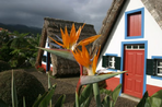 ile aux fleurs et sables dorés