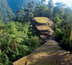 ciudad perdida, la cité des indiens tayronas