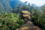 roraima, ciudad perdida : un fabuleux doublé