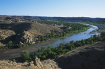 oasis de l´atlas et roses du mgoun