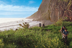 madère, île aventurière