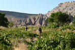 randonnée en cappadoce, découverte d'istanbul