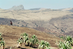 simien et montagnes d'abyssinie