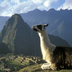 du machu picchu aux galápagos