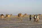 danakil, dallol, et hauts plateaux du tigré