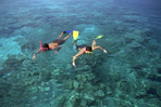 maldives, d'île en île
