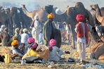 rajasthan, festival de pushkar