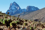 eco-trekking et ascension du mont kenya
