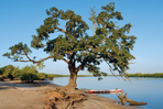 terres marines du sénégal