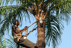 secrète casamance, randonnée et navigation