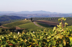 de florence à sienne