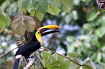 toucans, volcans et sable blanc