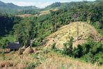 luang prabang, en pleine nature