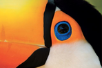 les sentiers du quetzal