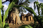 bénin, un voyage qui a du sens