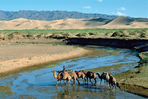 du désert de gobi aux steppes du khangaï