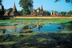 balade thaïlandaise