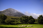 les comtés sauvages du donegal et du mayo