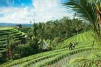 des volcans de java aux rizières de bali