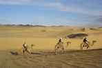 méharée dans le gobi