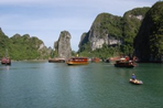 passion du vietnam