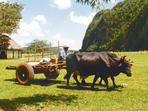 hola cuba
