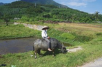 passion du vietnam en privé