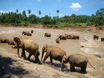 sri-lanka en famille