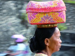 indonésie (java et bali) + extension aux célèbes