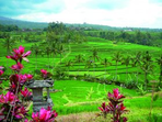 indonésie (java et bali) + extension séjour bali