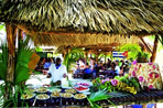 mercure coralia club playa de oro