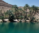 exploration omanaise + extension les fjords du musandam