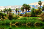 terre des pharaons en prive