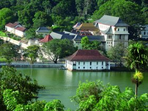 l'ile aux trésors