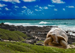 regard sur l'equateur + extension aux galapagos