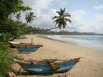 secrets du sri lanka extension séjour plage hôtel dickwella resort 3* sup