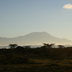 tanzanie, l'intégrale !