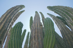 road trip en basse californie